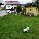Walters - Wohfuehlurlaub Fuer Mensch Und Hund