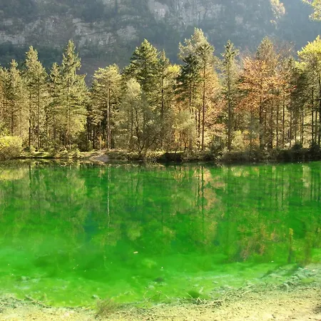 Walters - Wohfuehlurlaub Fuer Mensch Und Hund Apartmán Anif