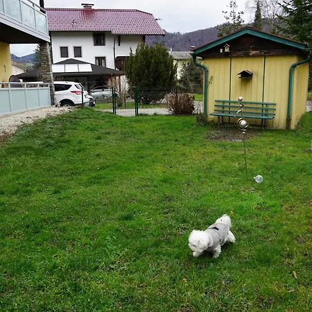 Walters - Wohfuehlurlaub Fuer Mensch Und Hund