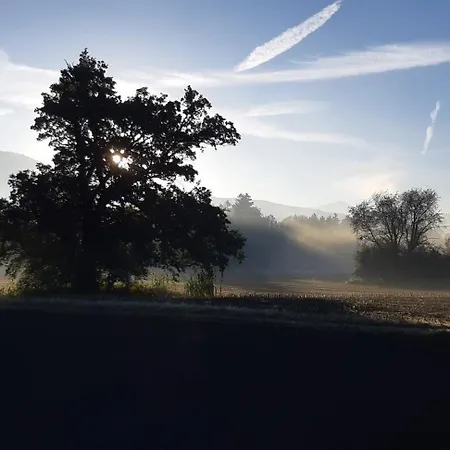 Walters - Wohfuehlurlaub Fuer Mensch Und Hund Anif