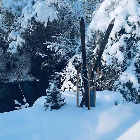 Walters - Wohfuehlurlaub Fuer Mensch Und Hund *