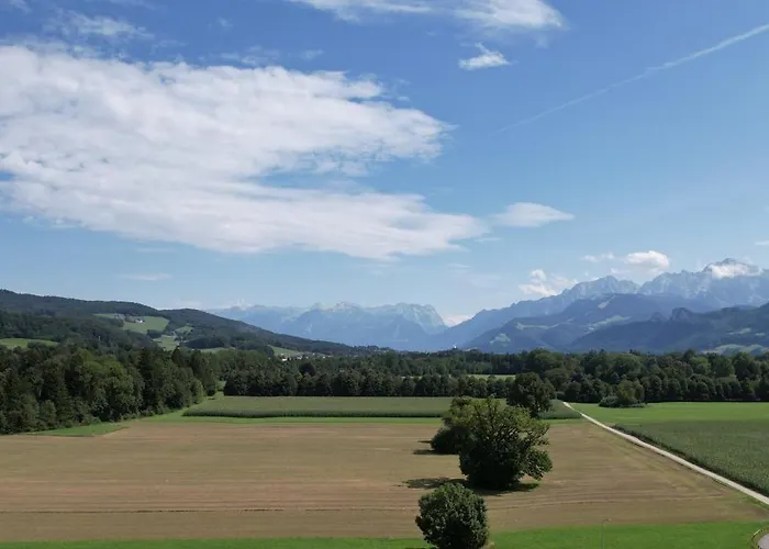 Walters - Wohfuehlurlaub Fuer Mensch Und Hund Daire