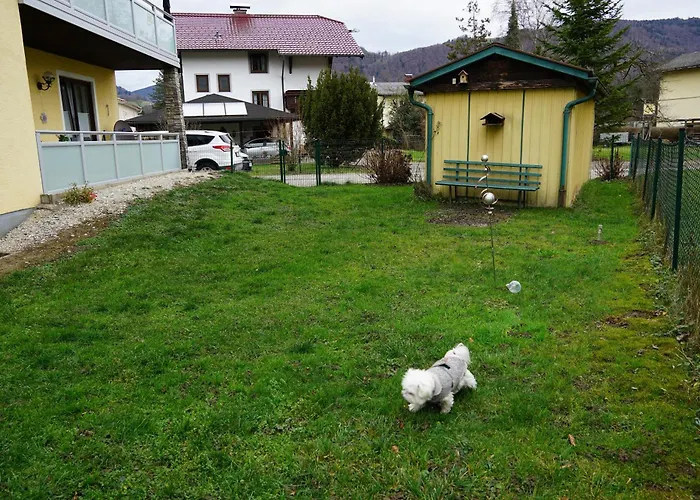 Walters - Wohfuehlurlaub Fuer Mensch Und Hund
